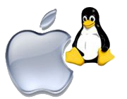 ibook
