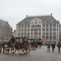 DSC_5531.JPG