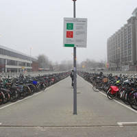 DSC_5458.JPG