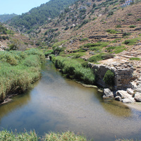 IMG_2074.jpeg