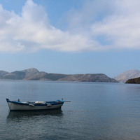 IMG_2207.jpeg