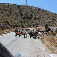 IMG_2238.jpeg