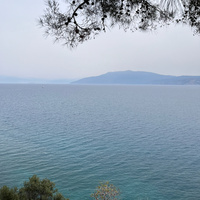 IMG_1488.jpeg