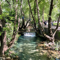 IMG_2645.jpeg