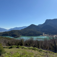 IMG_4077.jpeg