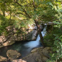 IMG_3316.jpeg