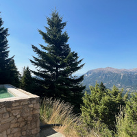 IMG_3339.jpeg