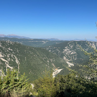 IMG_3351.jpeg