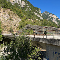 IMG_3356.jpeg