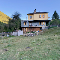 IMG_4907.jpeg