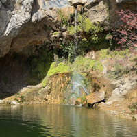 IMG_3617.jpeg