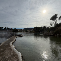 IMG_3620.jpeg