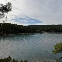 IMG_3634.jpeg