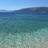 IMG_1794.jpeg