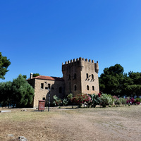 IMG_4552.jpeg