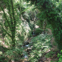 dsc_3072.jpeg