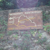 dsc_3085.jpeg