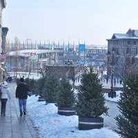 DSC_4637.JPG