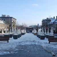 DSC_4640.JPG