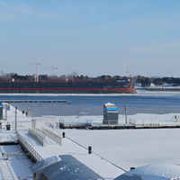 DSC_4655.JPG