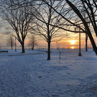 DSC_4662.JPG