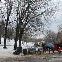 DSC_4719.JPG