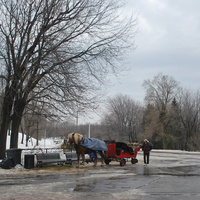 DSC_4720.JPG