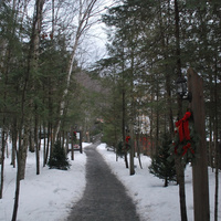 DSC_4730.JPG