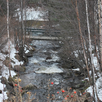 DSC_4739.JPG