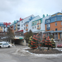 DSC_4741.JPG