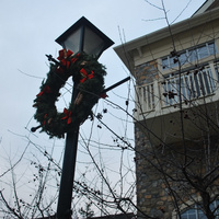DSC_4745.JPG