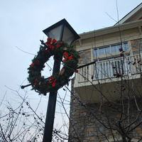 DSC_4746.JPG