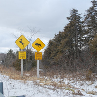 DSC_4822.JPG