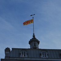 DSC_5236.JPG