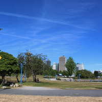 IMG_2800.jpeg