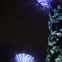 IMG_4020.jpeg