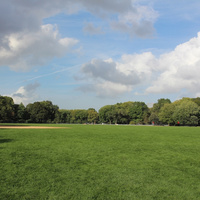 IMG_3590.jpeg